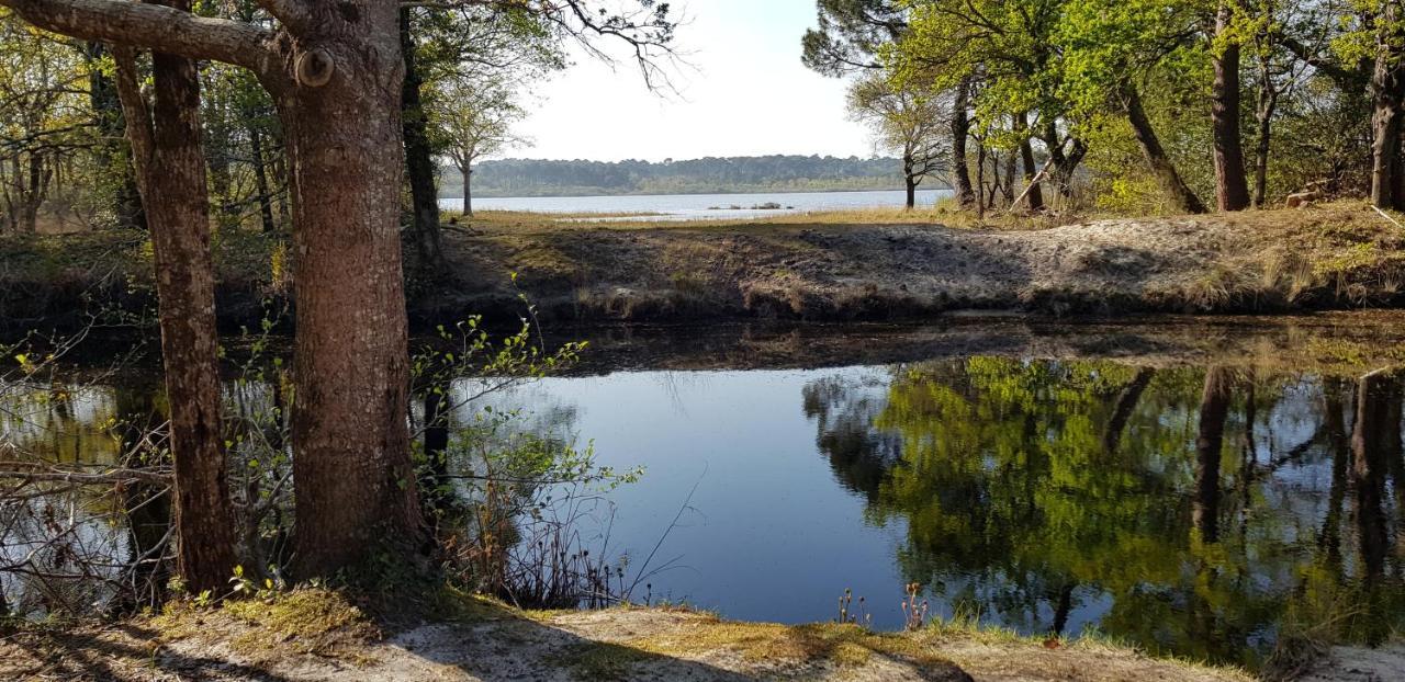 Chambre D'Hotes Entre-Deux Lacs Biscarrosse Esterno foto
